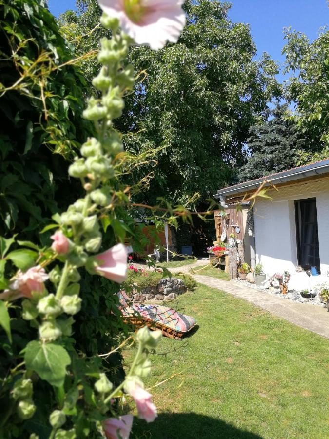 Bungalow Bei Warnemuende Elmenhorst/Lichtenhagen Екстер'єр фото